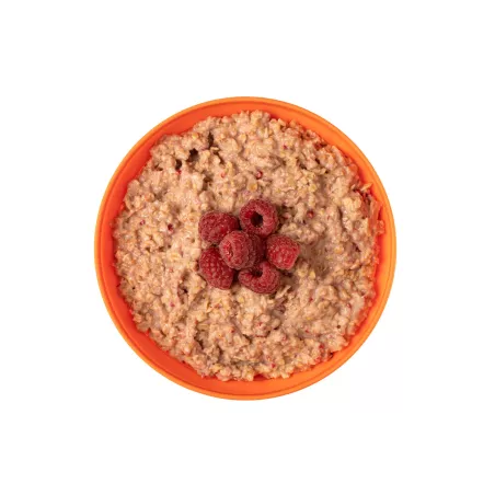 Granola with raspberries - Large format