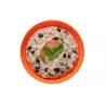 Apple and blackcurrant oatmeal - Double portion