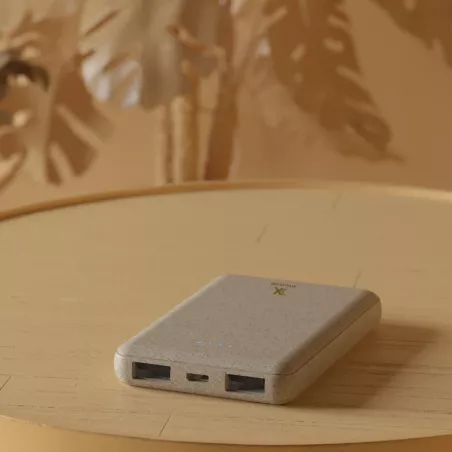 X-Moove Powereco 5000 mAh ecological external battery - 2 USB ports