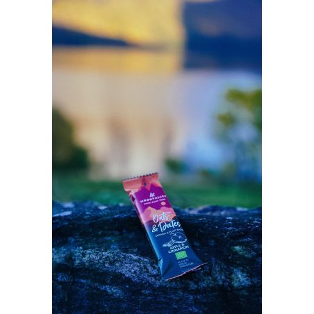 Moonvalley organic energy bar - Apple, cinnamon