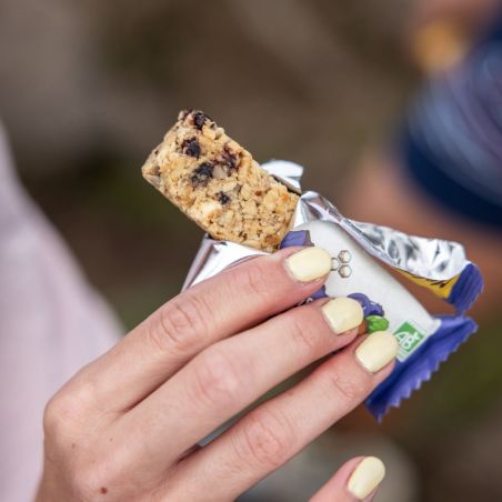 Meltonic organic cereal bar - Blueberries and hazelnuts