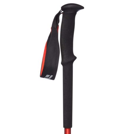 Black Diamond Trail hiking poles